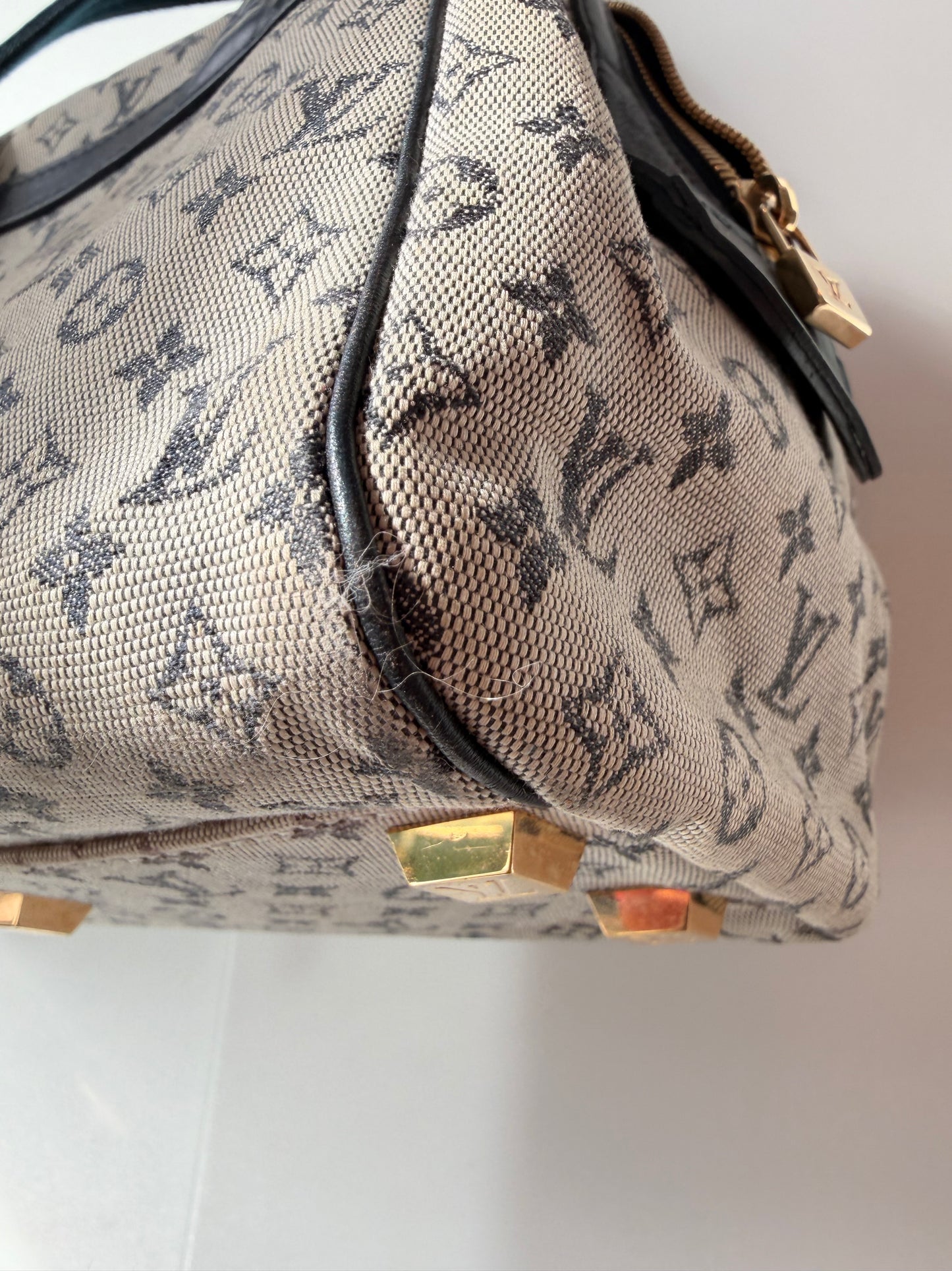 Louis Vuitton Doctor Bag