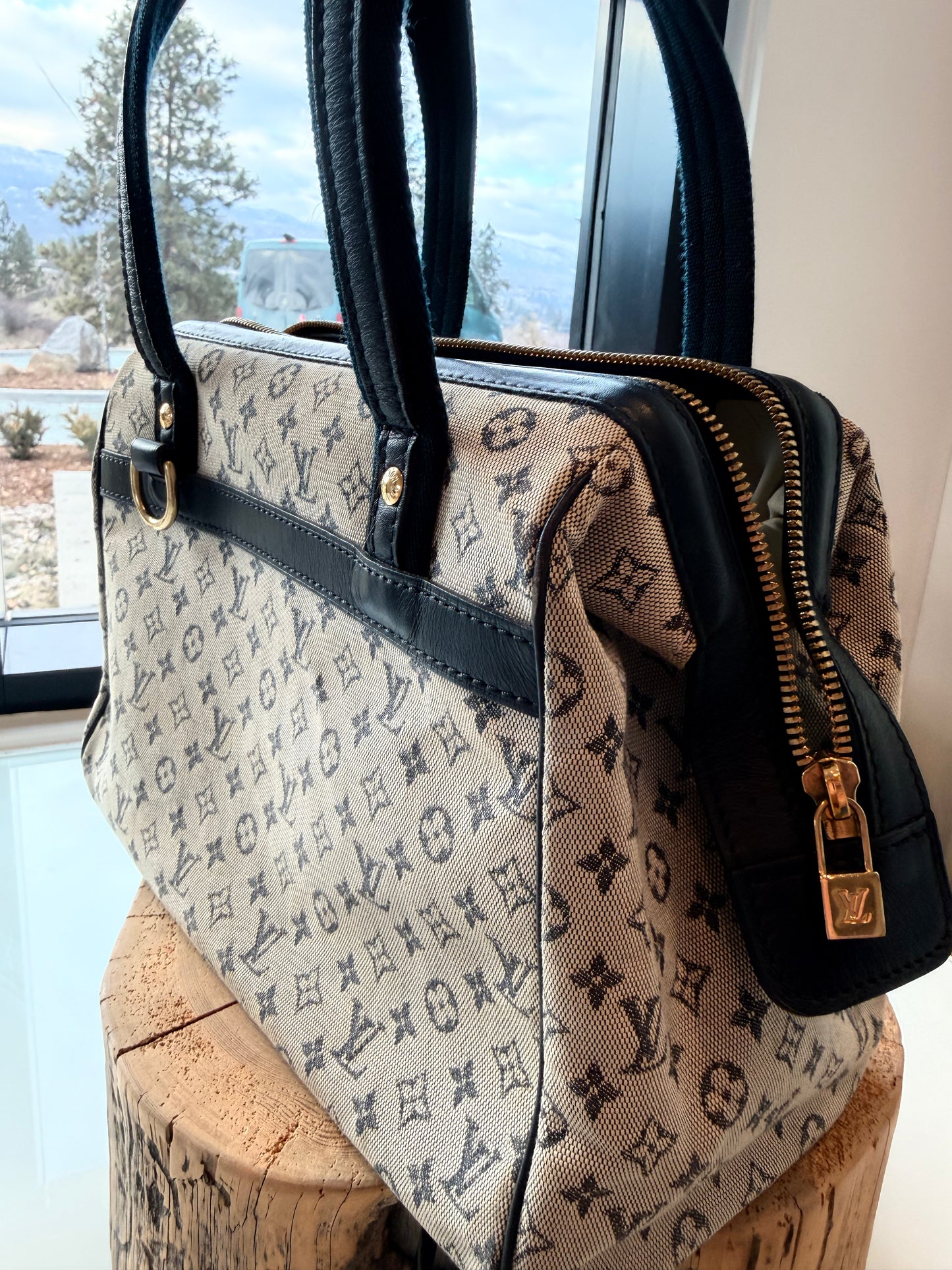 Louis Vuitton Doctor Bag