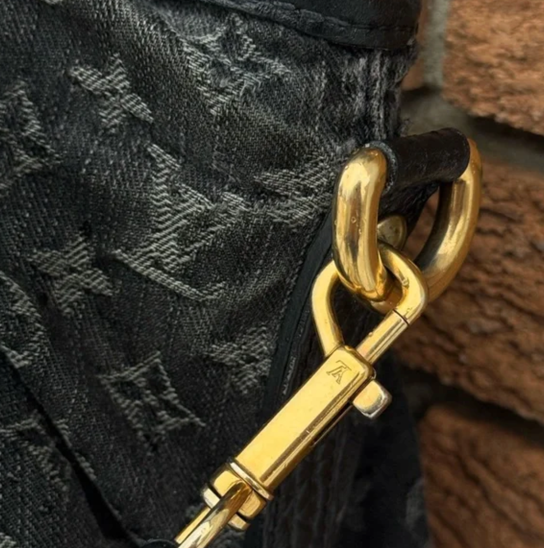 Louis Vuitton Soft Denium Speedy MM